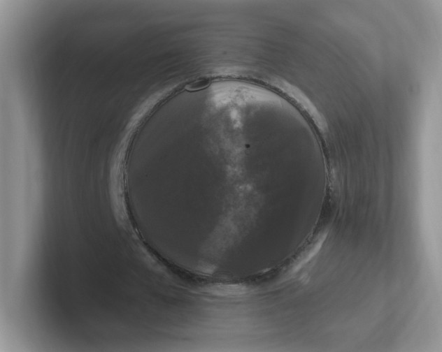 X0000102310577200808081609