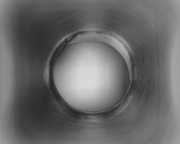 X0000102310580200808081609