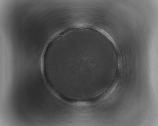 X0000102310581200808081609