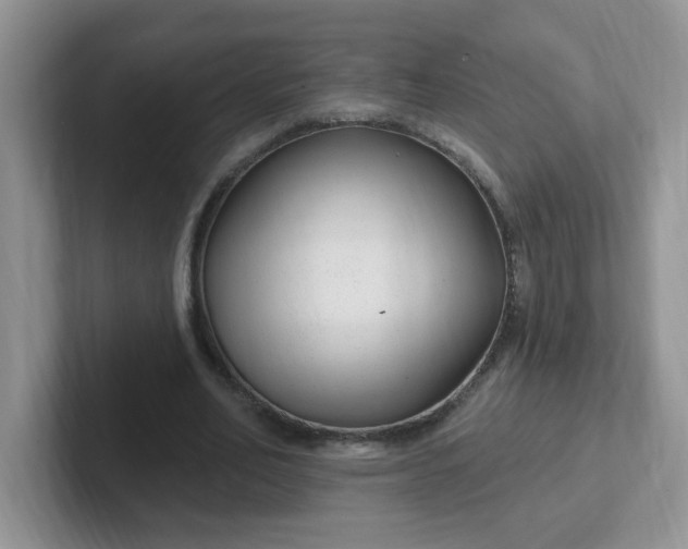 X0000102310582200808081609