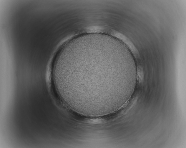 X0000102310583200808081609