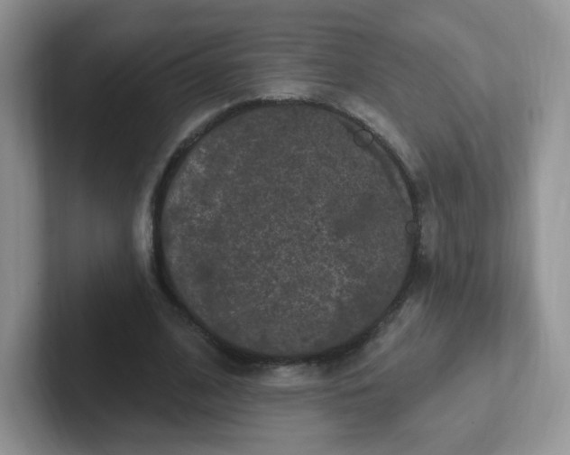 X0000102310584200808081609