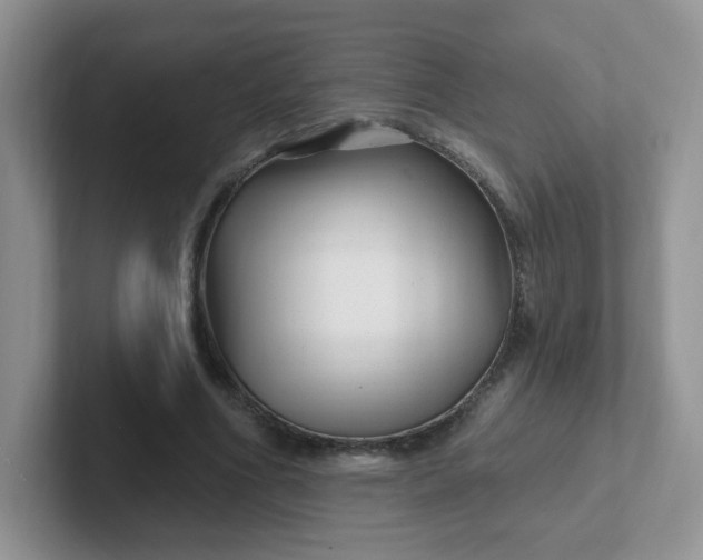 X0000102310586200808081608