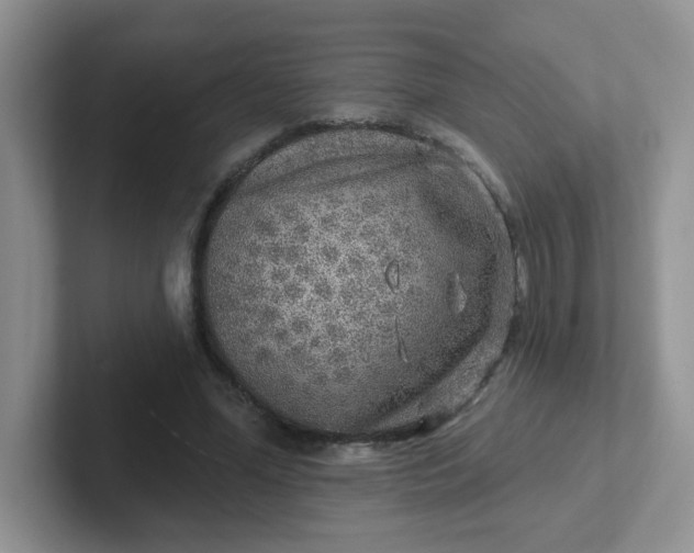 X0000102310588200808081608