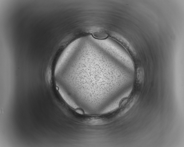 X0000102310589200808081608