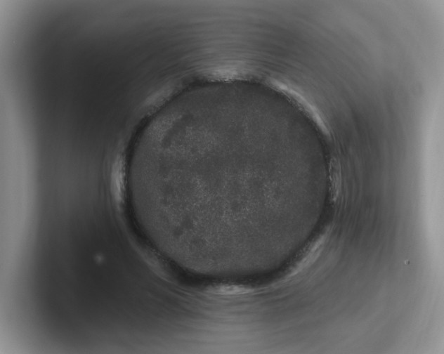 X0000102310590200808081608