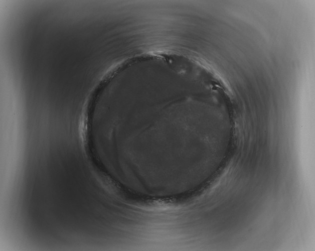 X0000102310592200808081608