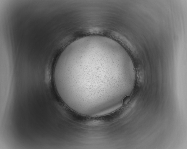 X0000102310593200808081608