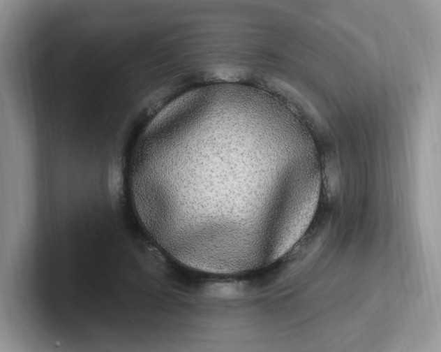 X0000102310595200808081608