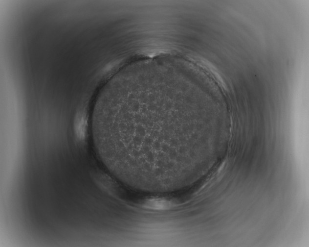 X0000102310596200808081608