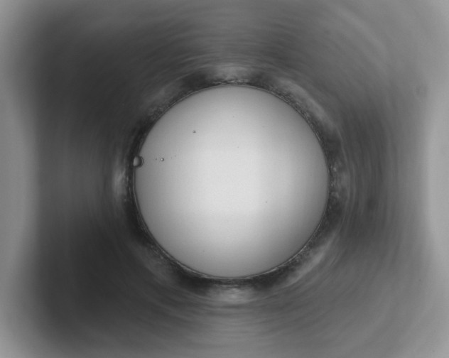 X0000102310597200808081608