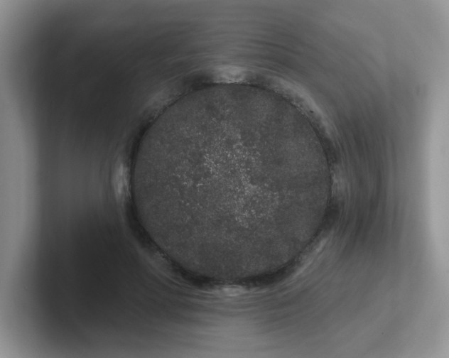 X0000102310598200808081608