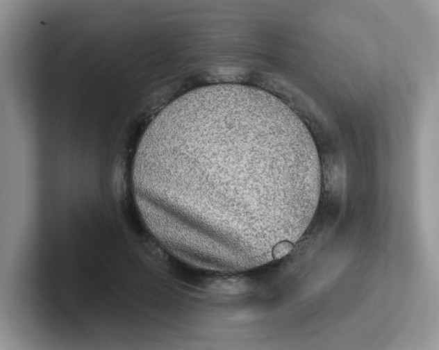 X0000102310599200808081608