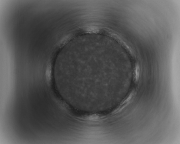 X0000102310600200808081608