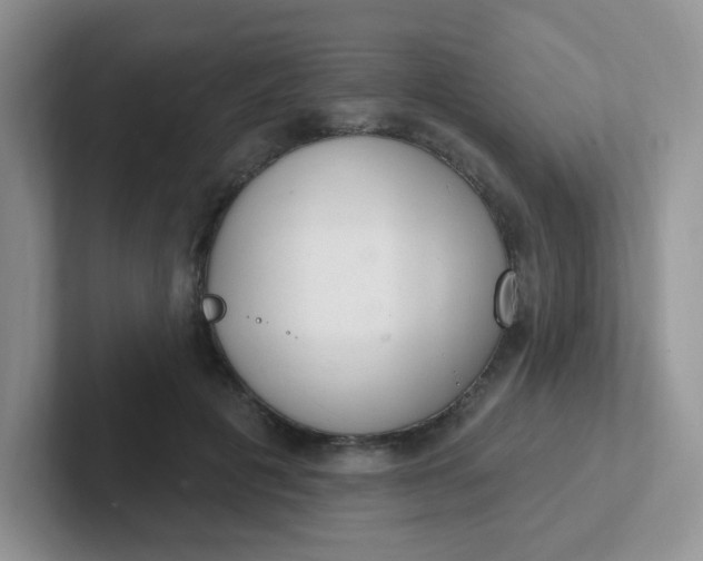 X0000102310601200808081608