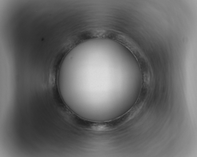 X0000102310602200808081608