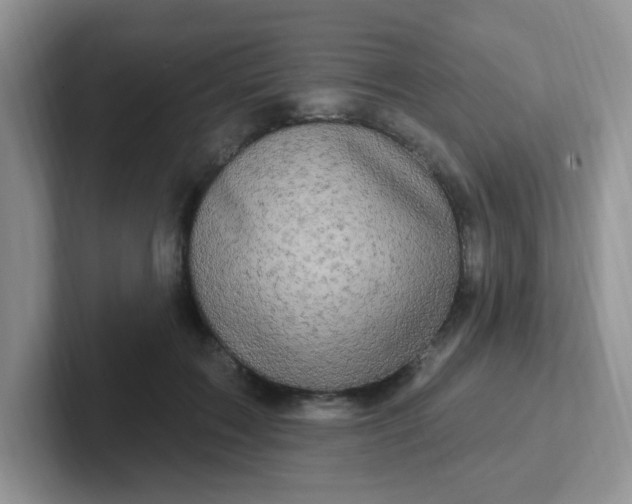 X0000102310603200808081608