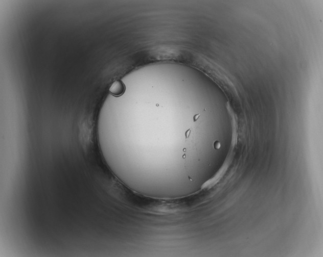 X0000102310604200808081608