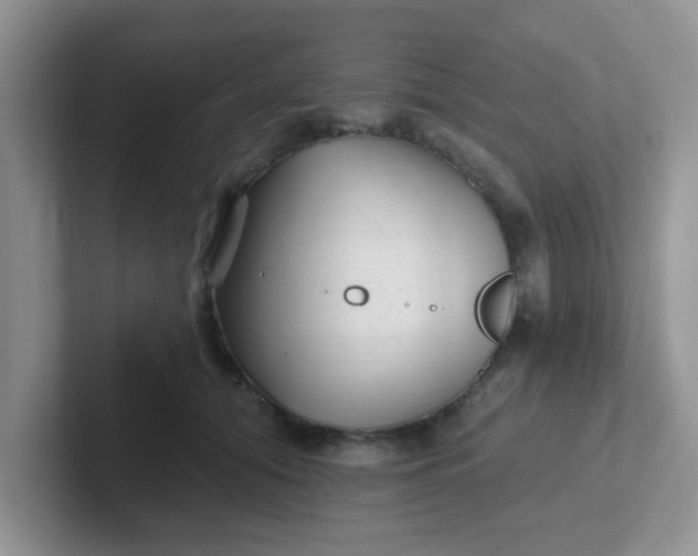 X0000102310608200808081608