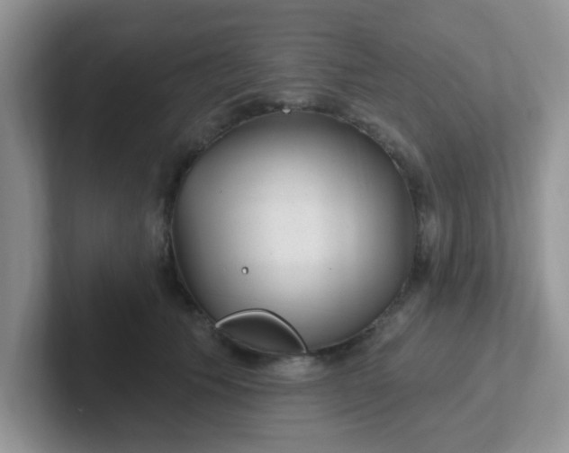 X0000102310609200808081608