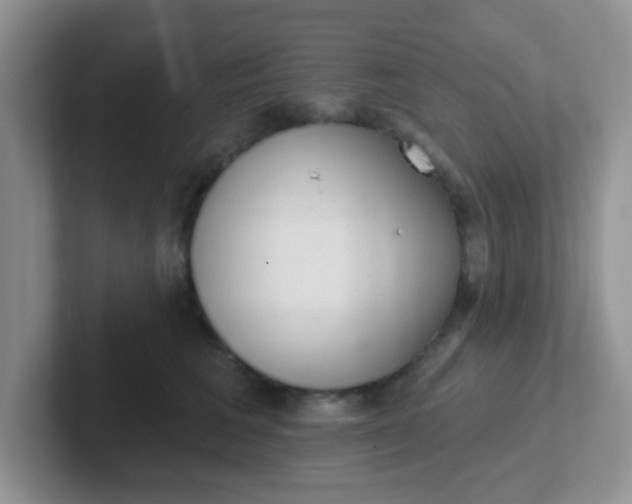 X0000102310613200808081608