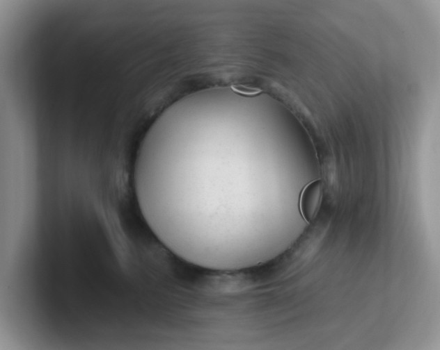 X0000102310615200808081608