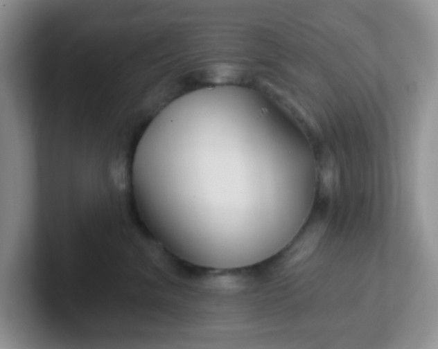 X0000102310620200808081608