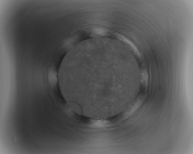 X0000102310621200808081608