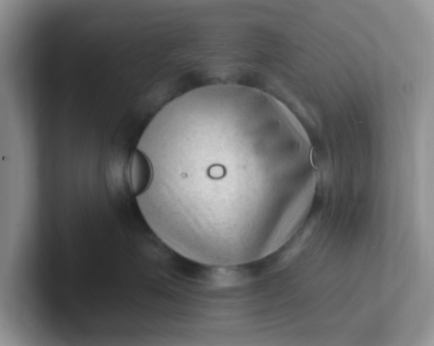 X0000102310623200808081608