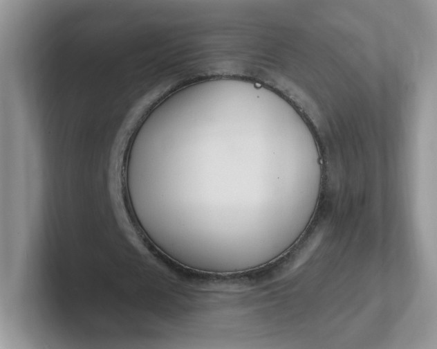 X0000102310625200808081607