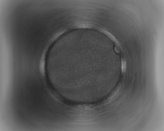 X0000102310627200808081607