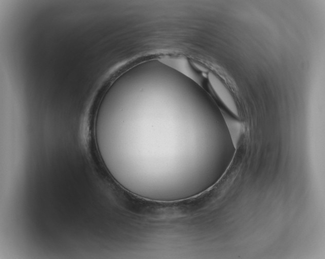 X0000102310628200808081607