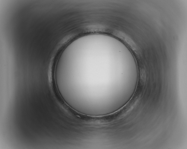 X0000102310629200808081607