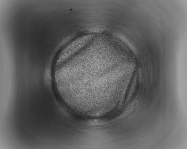 X0000102310634200808081607