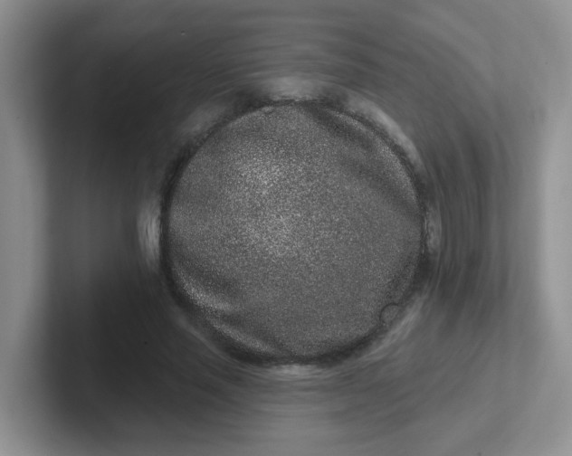 X0000102310637200808081607