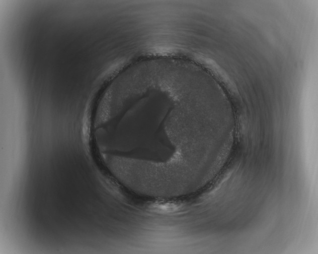 X0000102310640200808081607