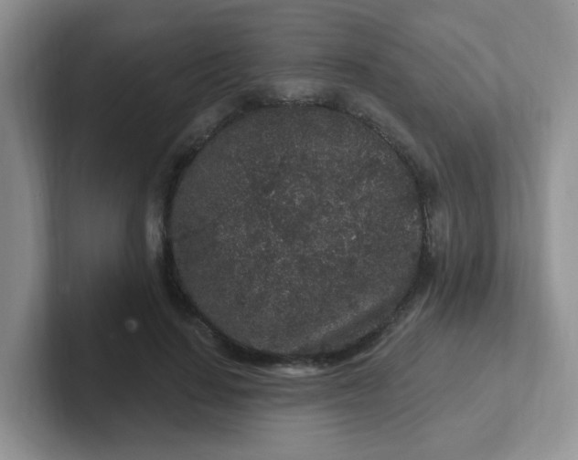 X0000102310644200808081607