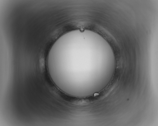 X0000102310646200808081607