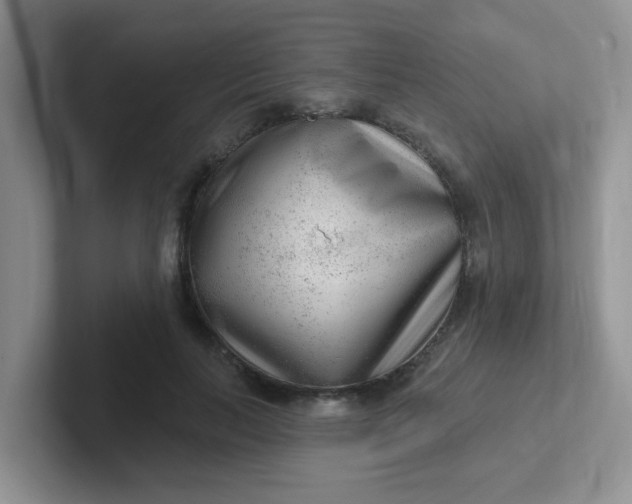 X0000102310647200808081607