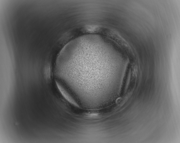 X0000102310651200808081607