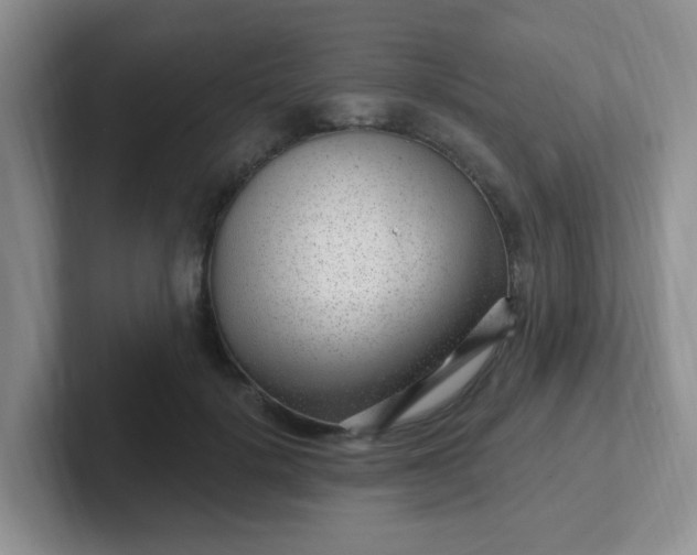 X0000102310652200808081607