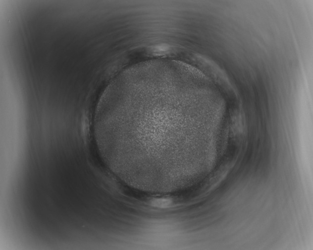 X0000102310653200808081607