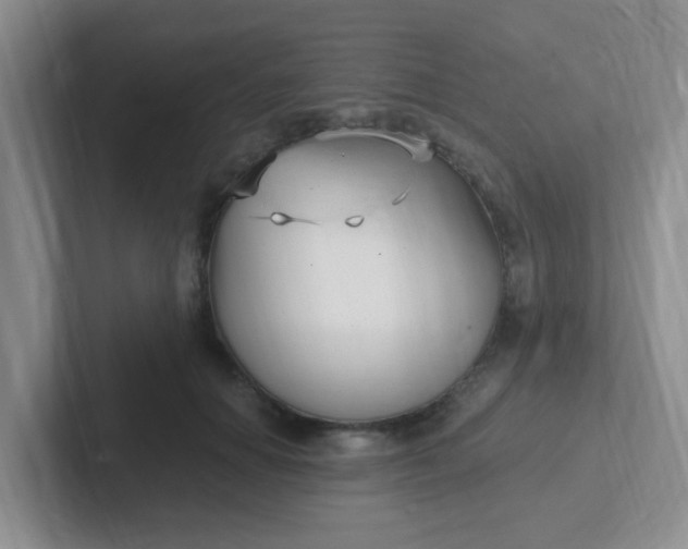 X0000102310654200808081607