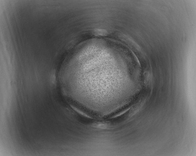 X0000102310655200808081607