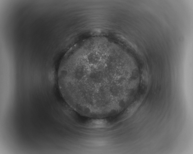 X0000102310659200808081608