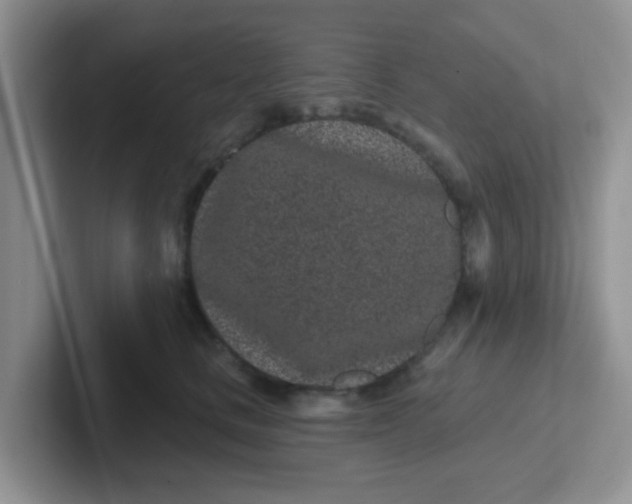 X0000102310661200808081608