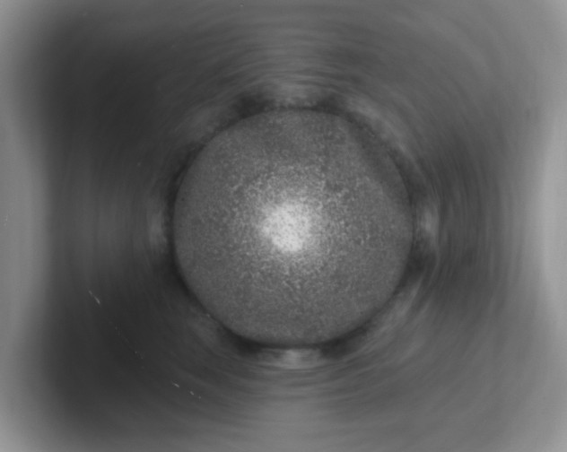 X0000102310663200808081608