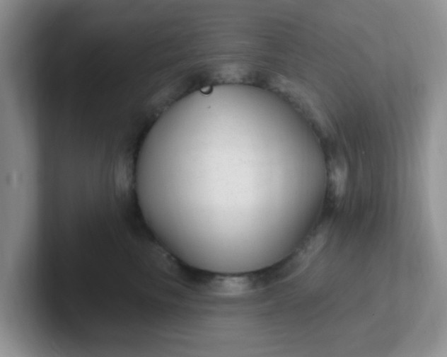 X0000102310665200808081608