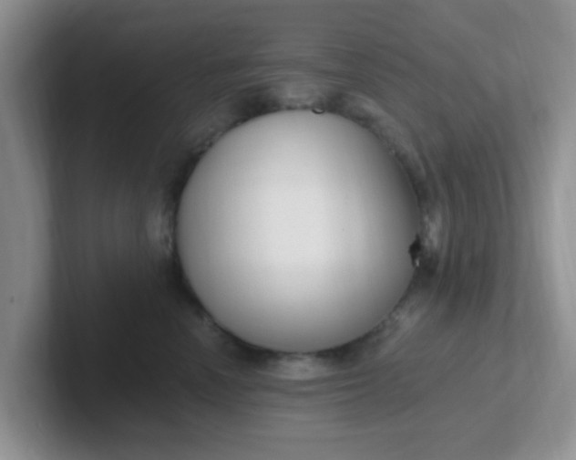 X0000102310666200808081608