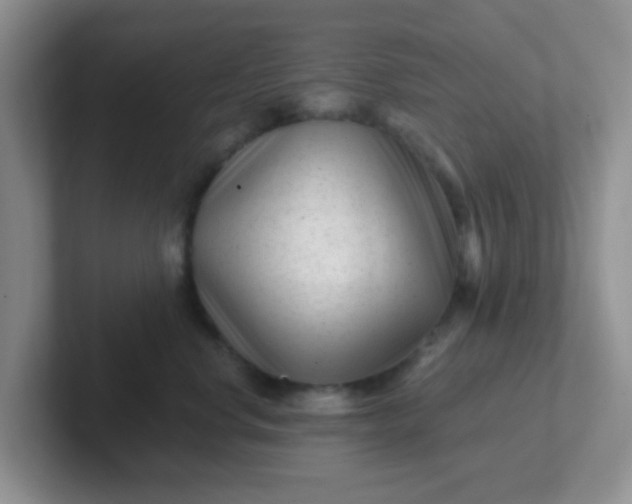 X0000102310668200808081608